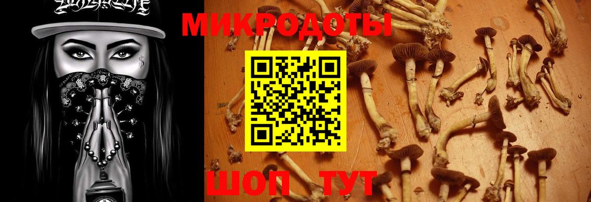 Галлюциногенные грибы MAGIC MUSHROOMS Батайск
